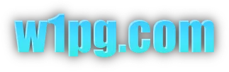 W1PG.COM